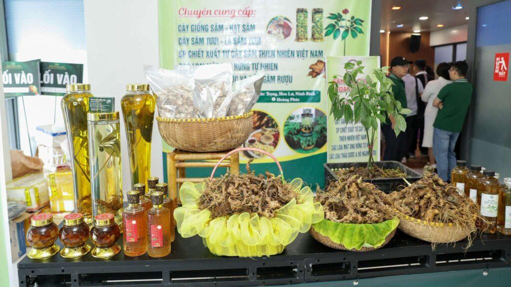 Muốn sâm Ngọc Linh vươn ra thế giới, không thể chỉ bán củ thô Muốn sâm Ngọc Linh vươn ra thế giới, không thể chỉ bán củ thô