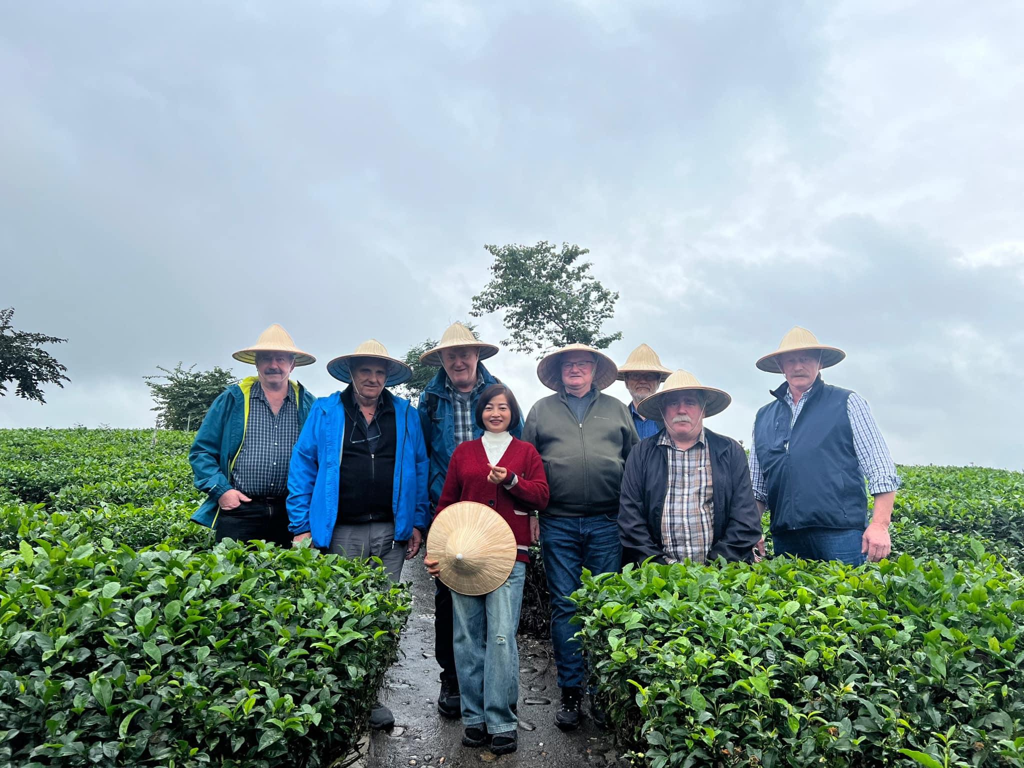 Giữ hồn văn hóa trong từng chén trà Thái Nguyên