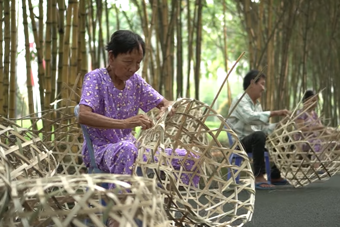 Đan giỏ trạc ở Xuân Thới Sơn được công nhận nghề truyền thống Đan giỏ trạc ở Xuân Thới Sơn được công nhận nghề truyền thống