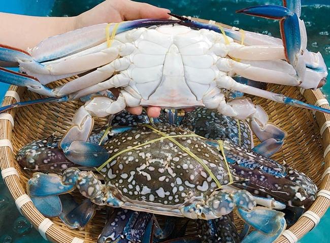 Mỹ cấm nhập 12 nhóm loài thủy sản: Ngành thủy sản Việt ứng phó ra sao?