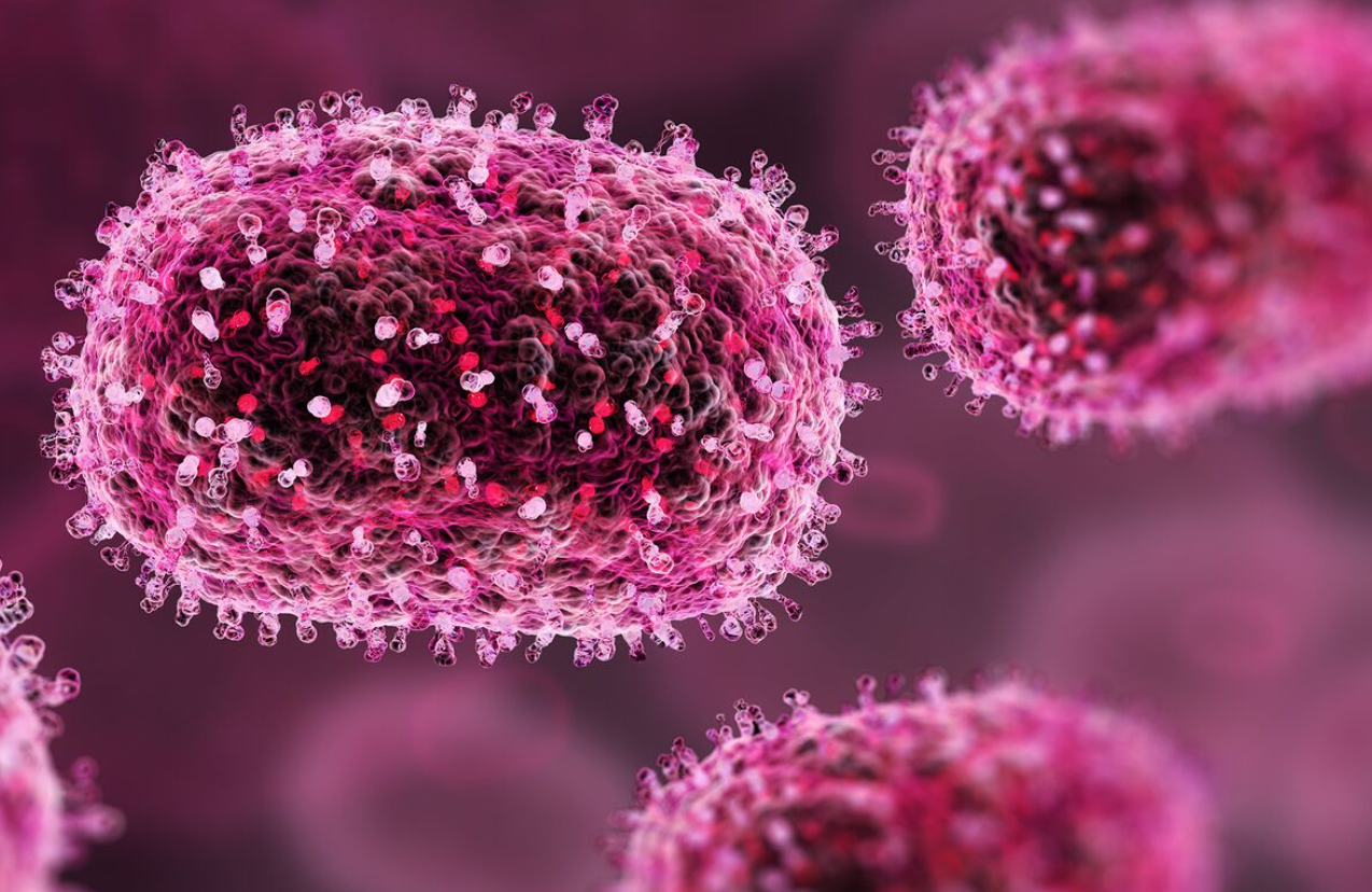 Quốc gia Đông Nam Á ghi nhận ca lây nhiễm đậu mùa khỉ đầu tiên