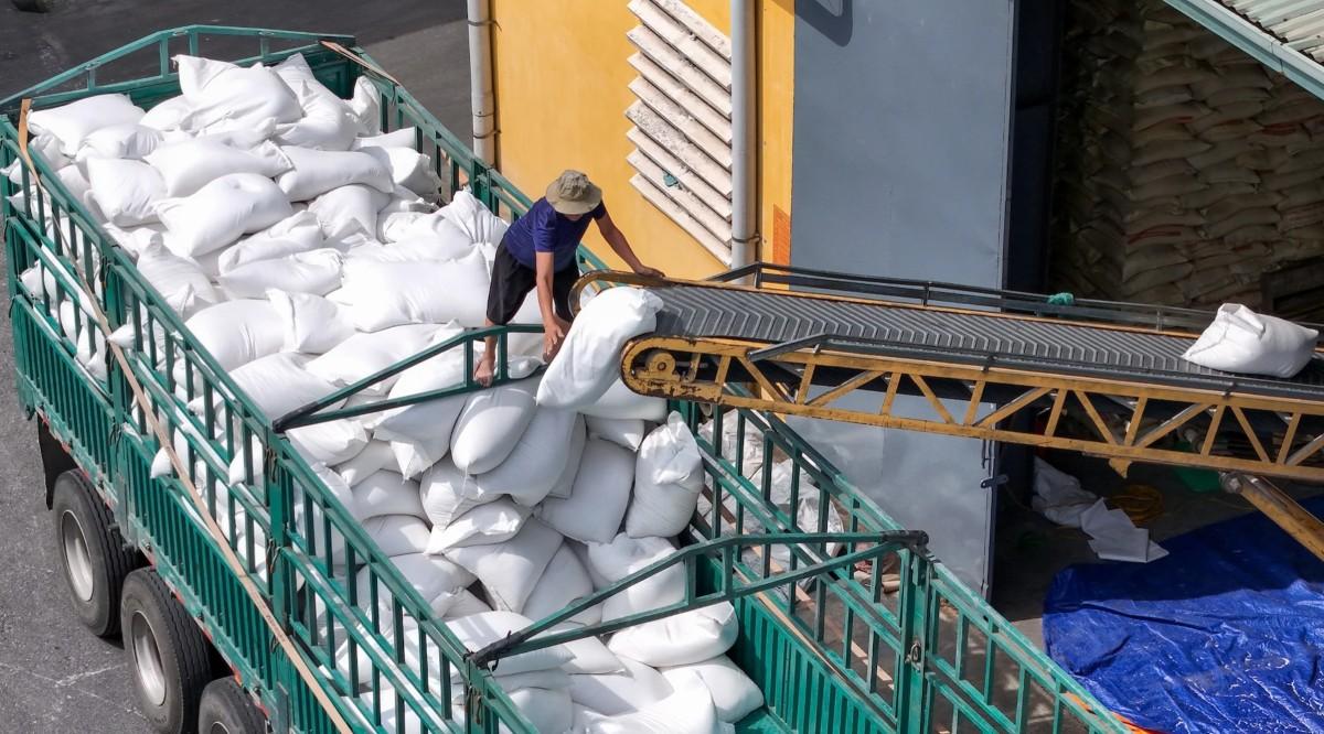 Xuất khẩu gạo Việt đạt 1,11 tỷ USD, Philippines nắm hơn nửa thị phần