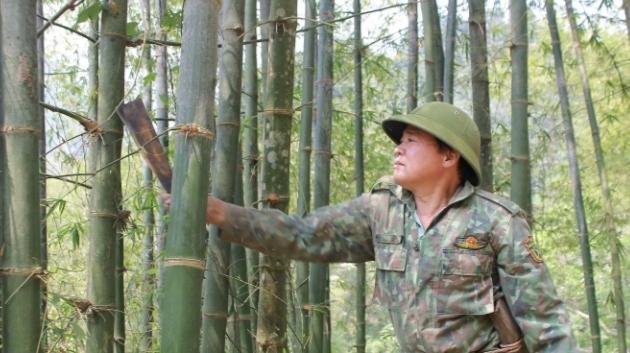 Mã số vùng trồng nền móng cho thương hiệu nông sản Thanh Hóa Mã số vùng trồng nền móng cho thương hiệu nông sản Thanh Hóa