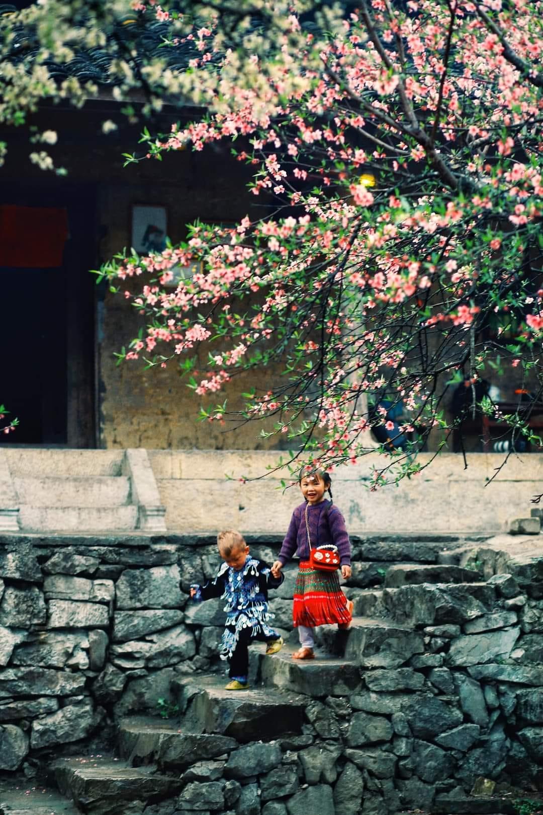 du-lich-lao-xa-ha-giang-01_1785747608.jpg