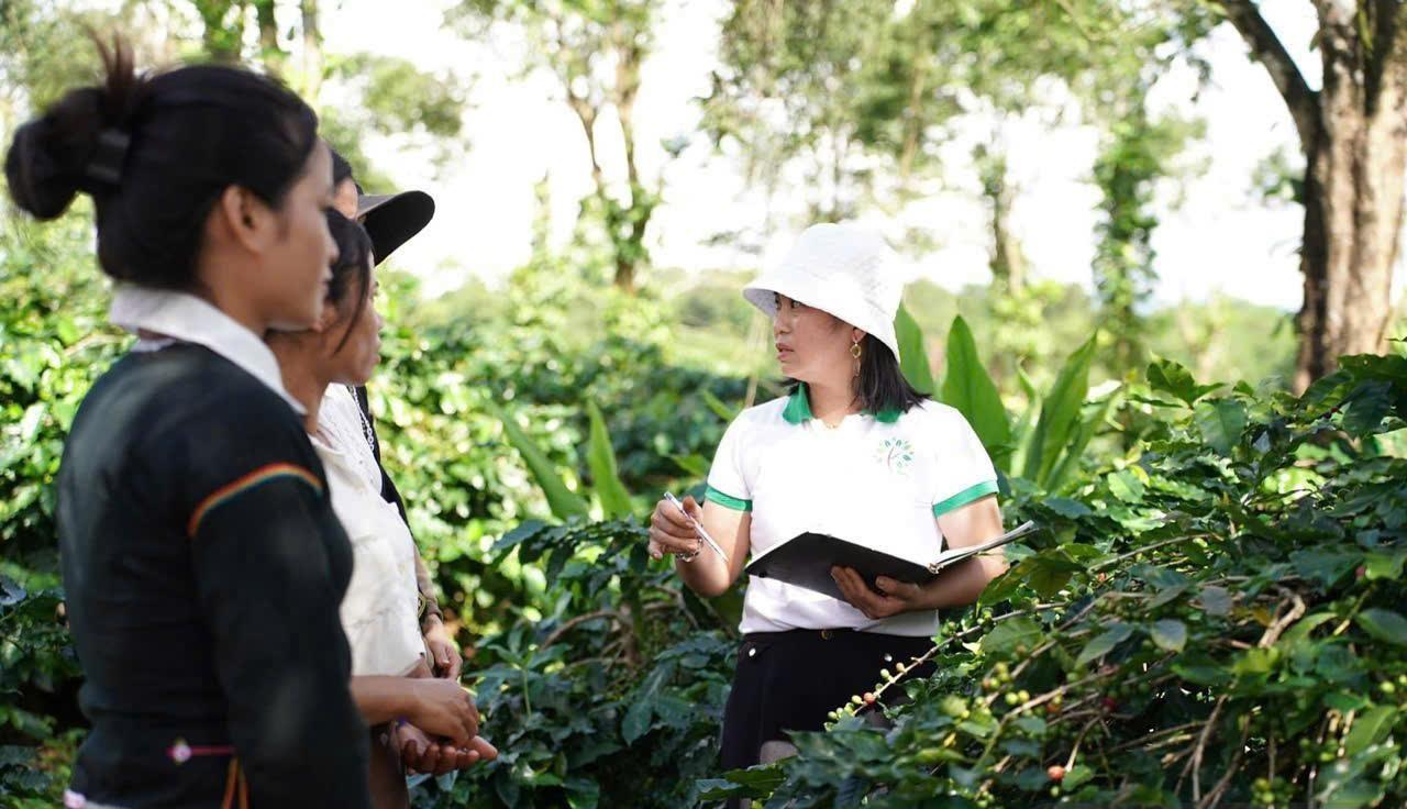 Biến phụ phẩm cà phê thành tài nguyên: Bước tiến xanh của nông sản Khe Sanh Biến phụ phẩm cà phê thành tài nguyên: Bước tiến xanh của nông sản Khe Sanh