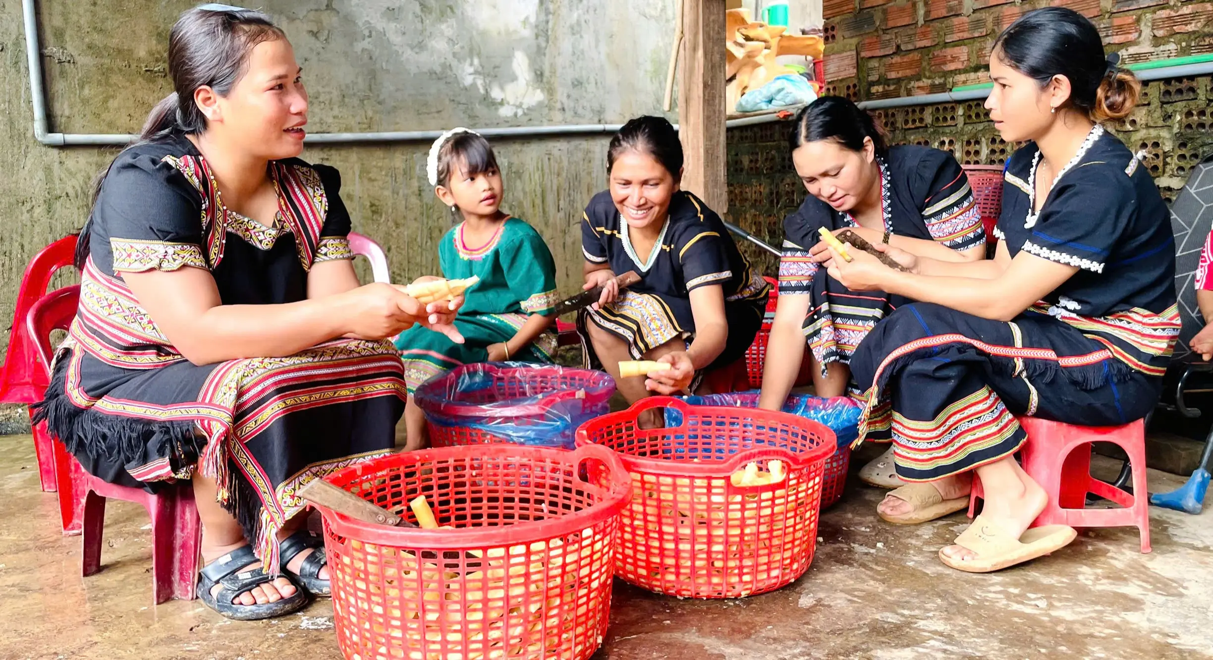 Hành trình đưa măng rừng Ngọk Réo từ đại ngàn ra thế giới