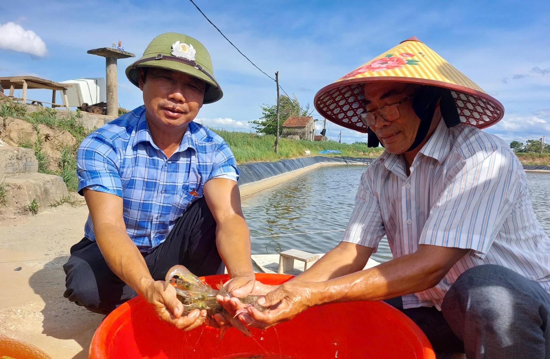 Đầu tư hạ tầng đồng bộ, lời giải cấp thiết cho bài toán tiêu thụ tôm Hói Hà