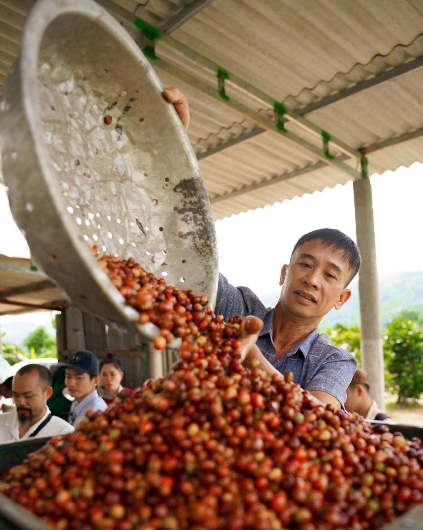 Đổi mới chuỗi giá trị để nông sản Quảng Trị vươn xa
