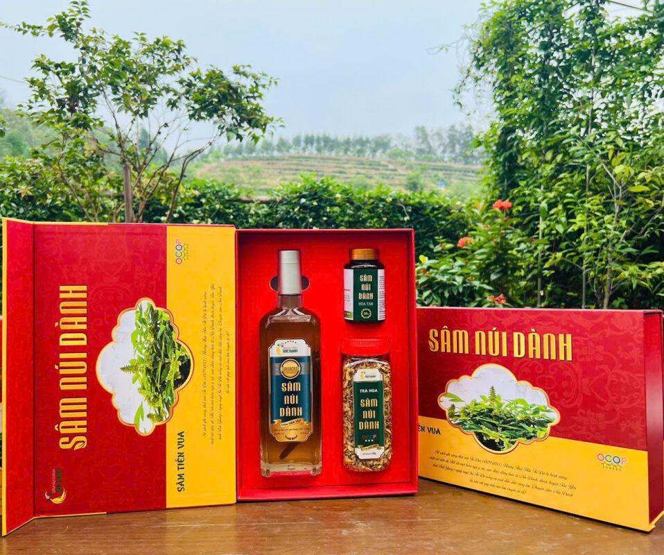 Sâm núi Dành – từ sản vật quê hương đến khát vọng vươn xa