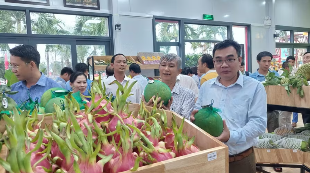 Mã số vùng trồng mở đường cho nông sản Gia Lai vươn xa