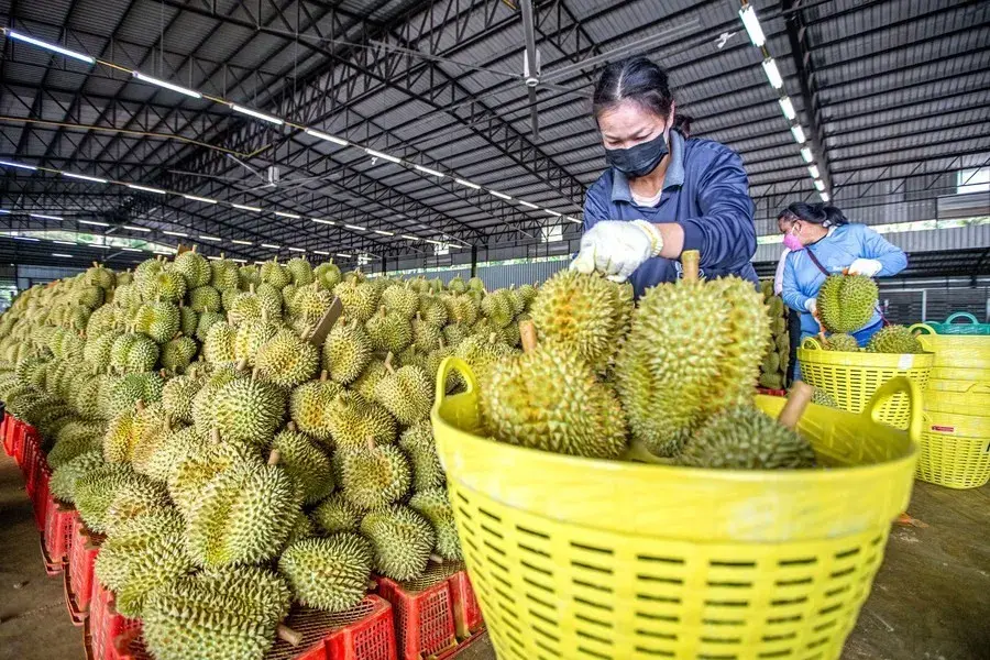 Trung Quốc mở rộng dư địa tăng trưởng cho nông sản Việt