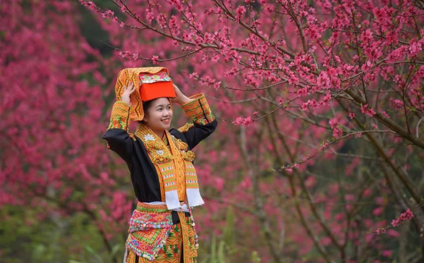 Lễ hội hoa đào xứ Lạng 2026: Đánh thức sức sống di sản vùng biên cương