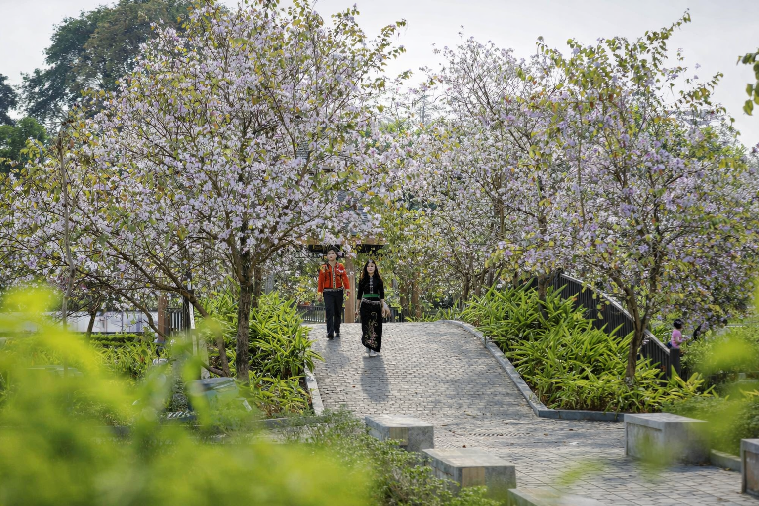 Săn hoa ban nở sớm ở Tây Bắc, thưởng thức đặc sản giải ngán ngày xuân