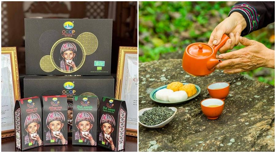 Đánh giá hương trà Shan tuyết, đưa sản phẩm OCOP 5 sao vươn ra thị trường