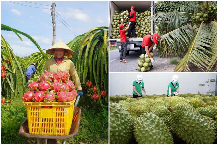 Xuất khẩu rau quả Việt Nam hướng mốc 10 tỷ USD