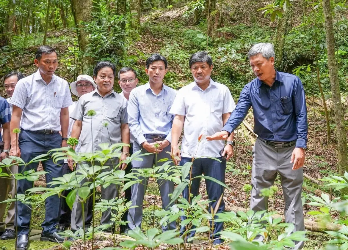 Từ “mỏ vàng xanh” đến sản phẩm du lịch sức khỏe