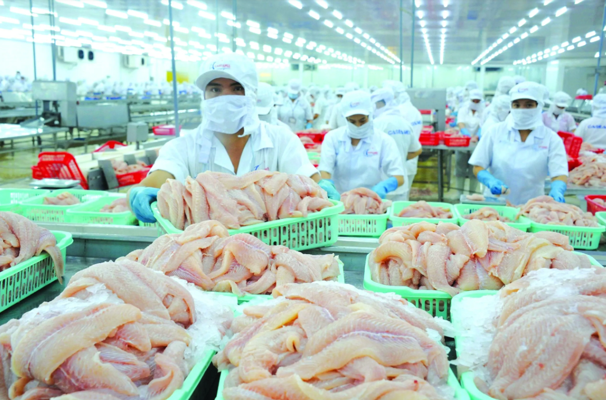 Xuất khẩu thủy sản trước áp lực giữ đà tăng trưởng