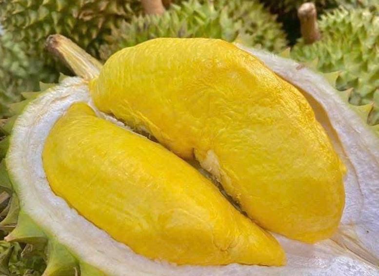 Thêm 18 phòng thử nghiệm của Việt Nam được Trung Quốc công nhận cho nông sản xuất khẩu
