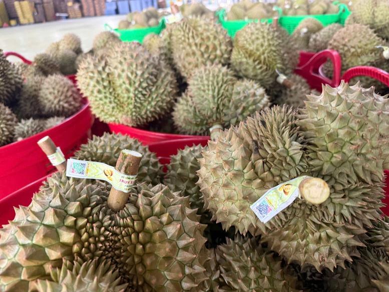 Cơ hội và thách thức của sầu riêng Việt Nam khi tiến vào thị trường Ấn Độ Cơ hội và thách thức của sầu riêng Việt Nam khi tiến vào thị trường Ấn Độ