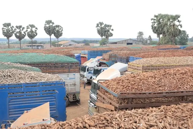 Tạm dừng áp dụng Nghị định số 46 về an toàn thực phẩm đến hết ngày 15/4