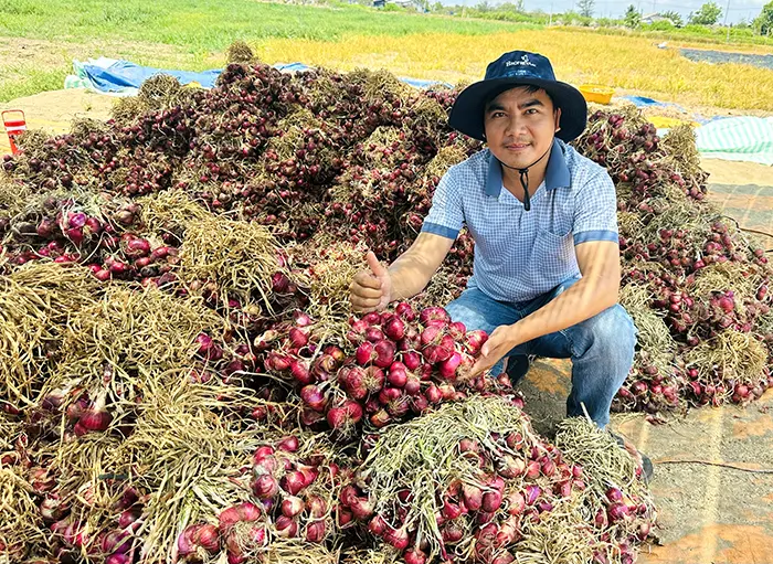 Vực dậy thương hiệu hành tím Vĩnh Châu từ tâm huyết của người kỹ sư trẻ