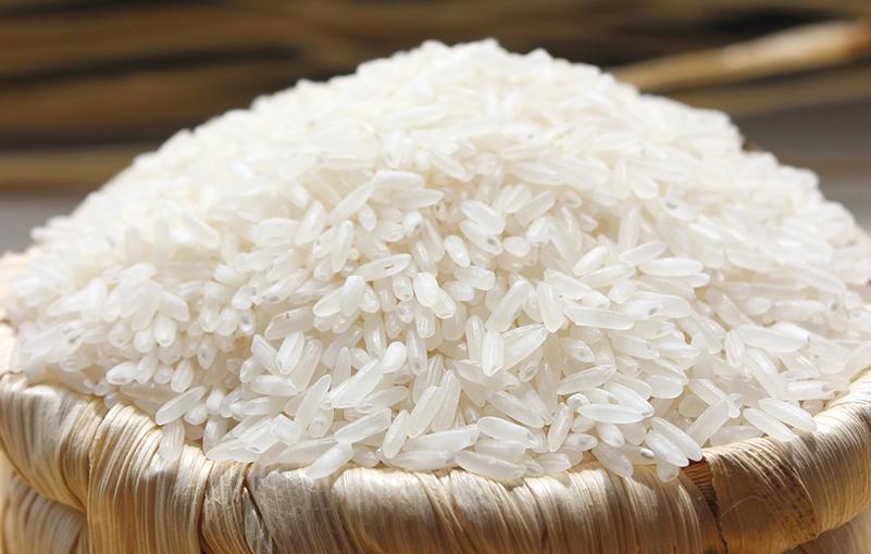 Thị trường nông sản thế giới phân hóa: Gạo Thái Lan tăng mạnh, cà phê hồi phục Thị trường nông sản thế giới phân hóa: Gạo Thái Lan tăng mạnh, cà phê hồi phục