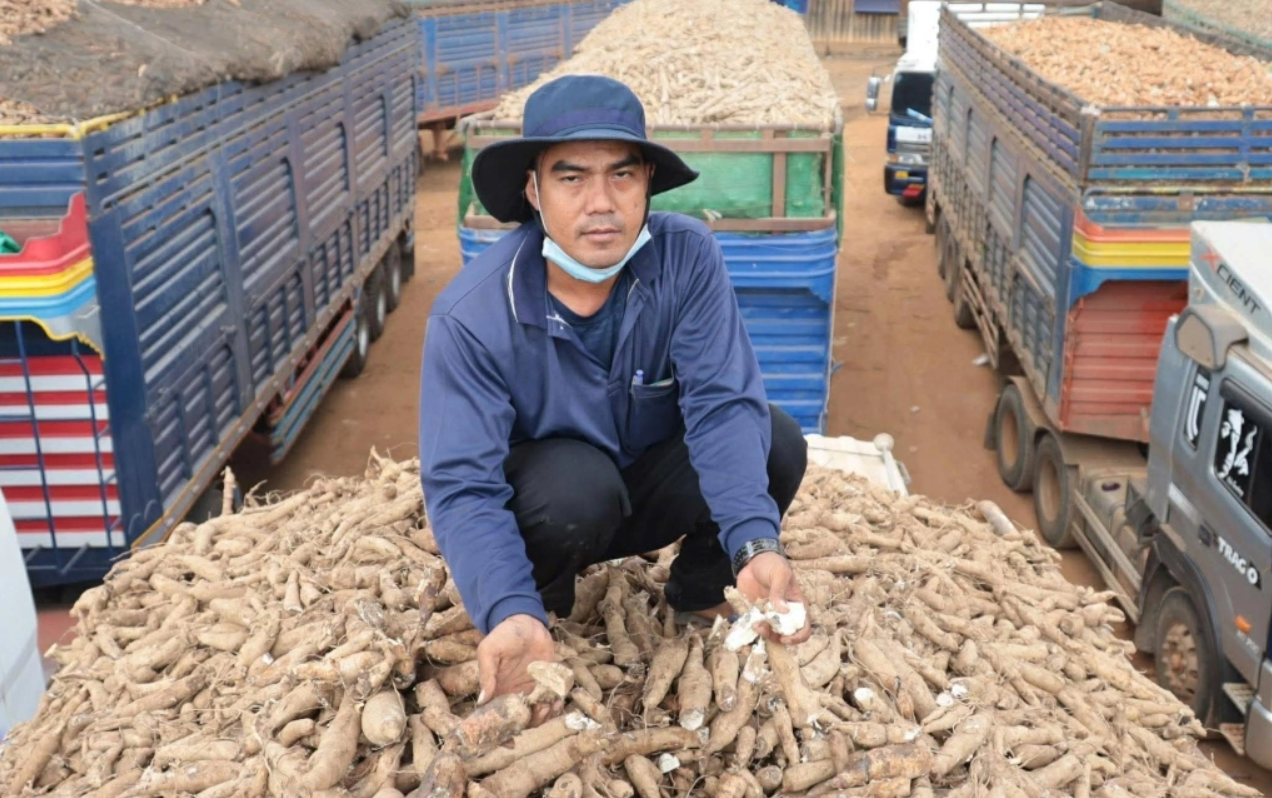 Gỡ “nút thắt” ách tắc thực phẩm, nông sản nhập khẩu