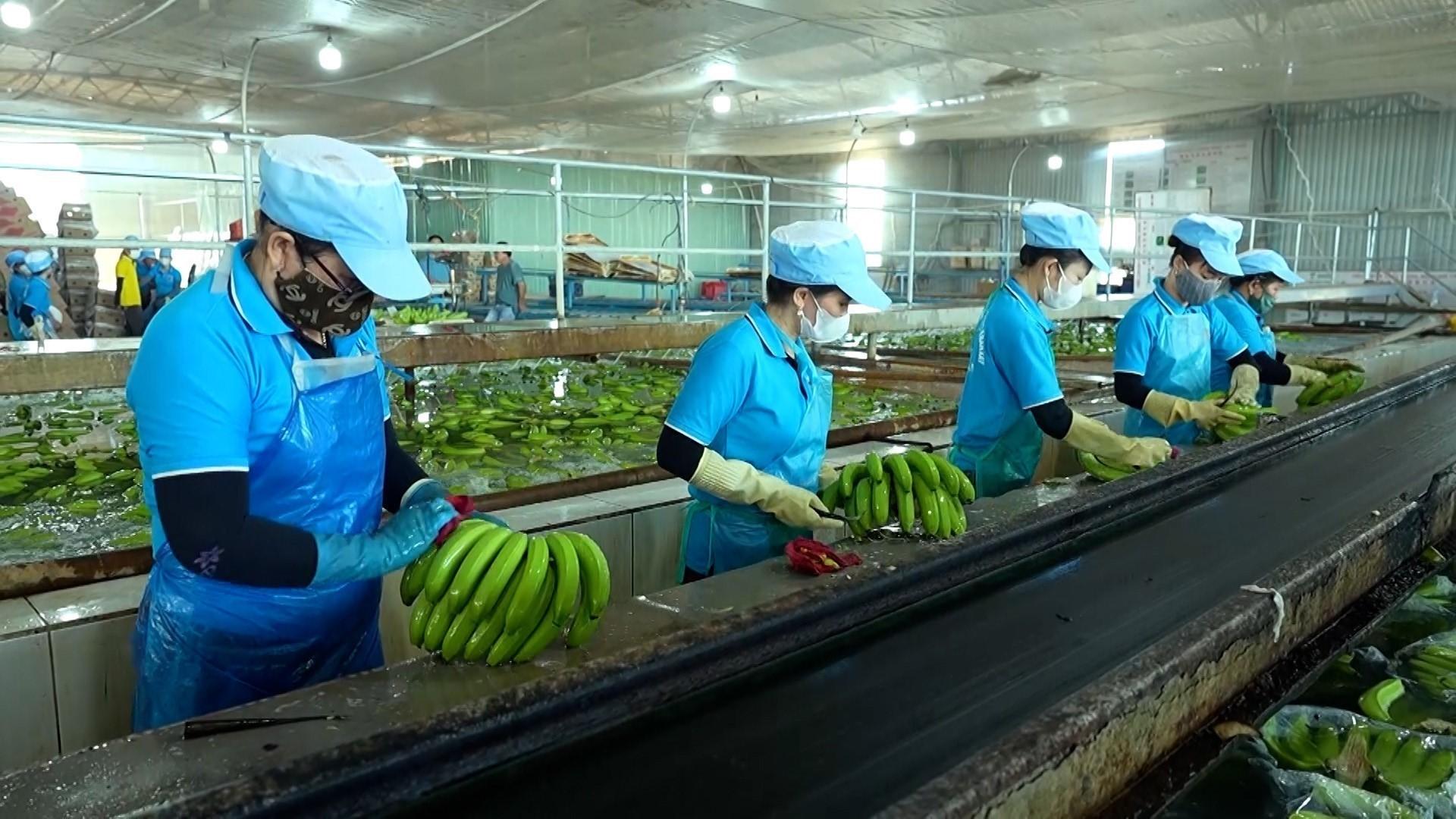 Hoàn thiện nền tảng pháp lý, tạo thuận lợi cho xuất nhập khẩu nông sản