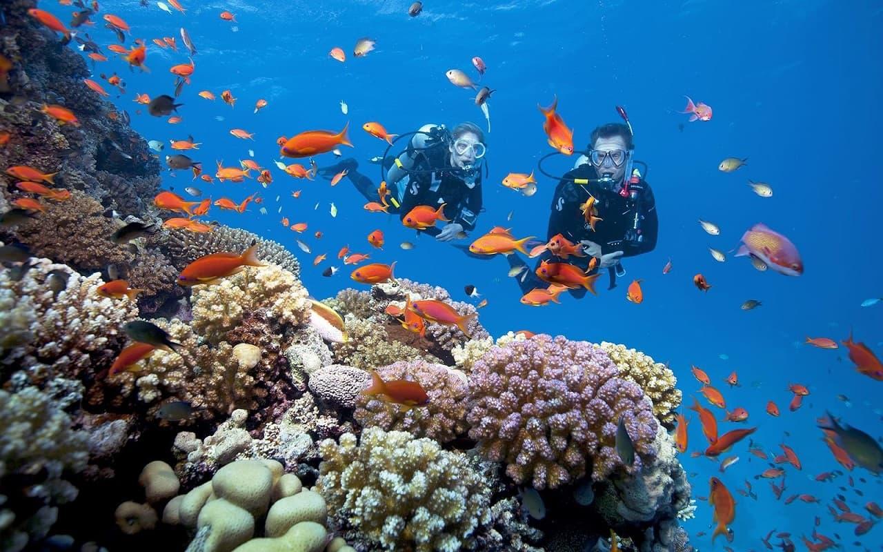 Vịnh Nha Trang phục hồi hệ sinh thái, du lịch biển khởi sắc trở lại