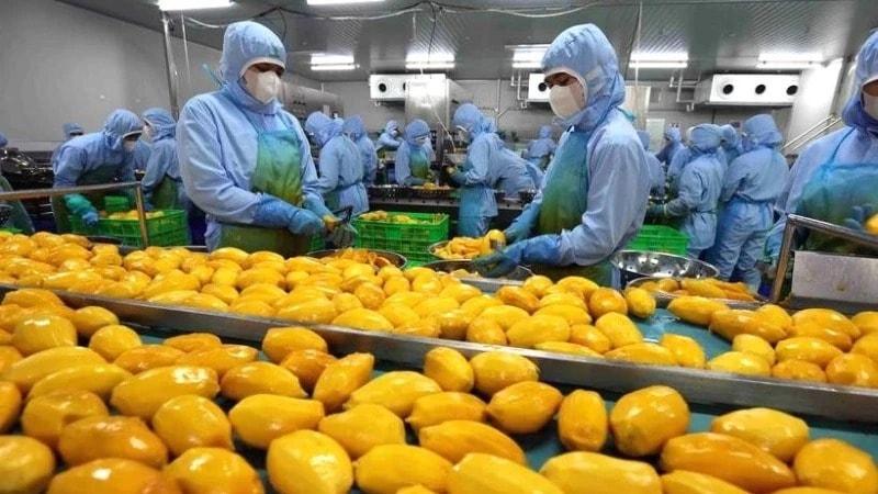 Nhiều quốc gia siết chặt quy định an toàn thực phẩm và kiểm dịch động, thực vật