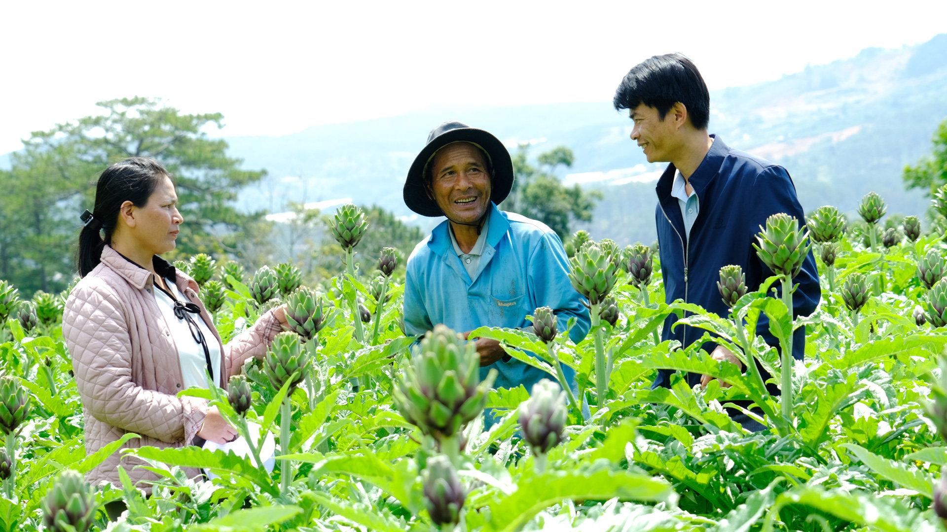 Doanh nghiệp lớn mở rộng liên kết đầu ra nông sản