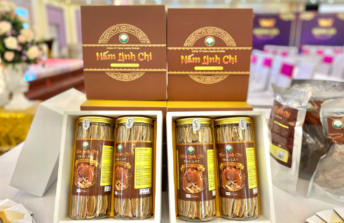Nâng tầm giá trị sản phẩm OCOP gắn với chiến lược phát triển bền vững Nâng tầm giá trị sản phẩm OCOP gắn với chiến lược phát triển bền vững