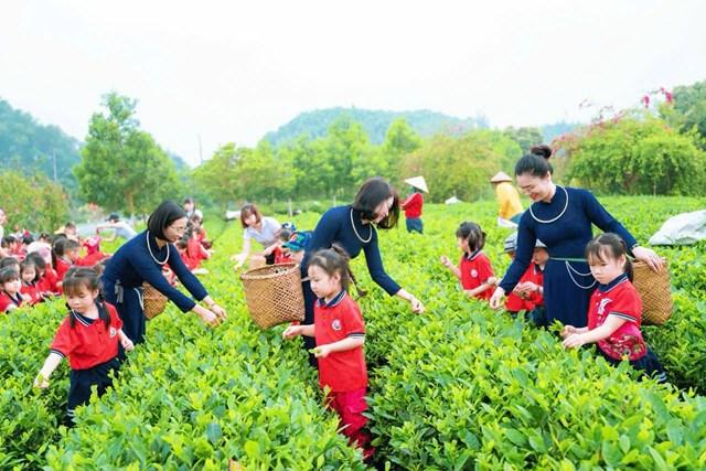 Sức sống mới của thương hiệu trà Khe Cốc trên hành trình hội nhập quốc tế