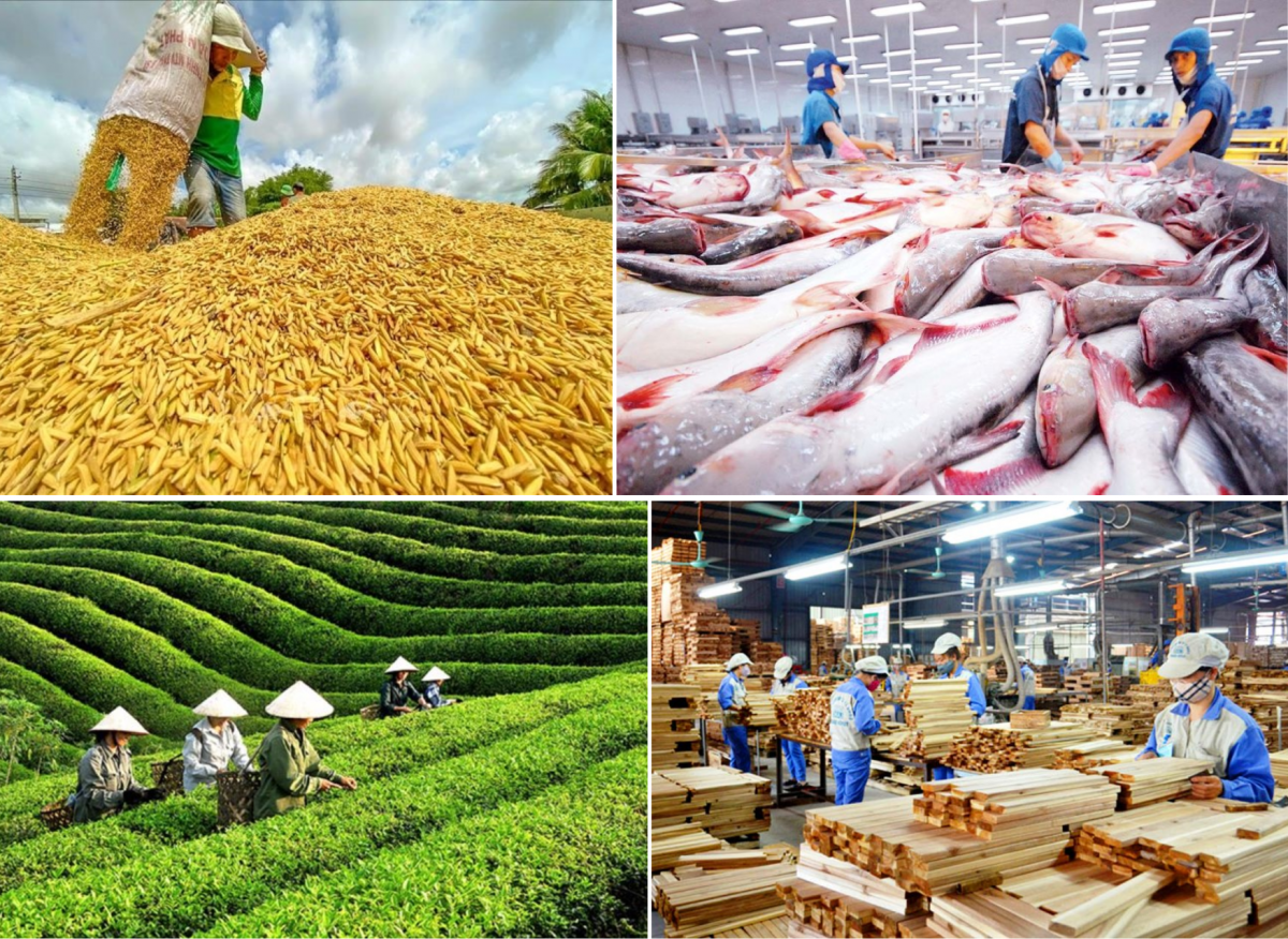 Xuất khẩu nông lâm thủy sản năm 2025 lập kỷ lục trên 70 tỷ USD