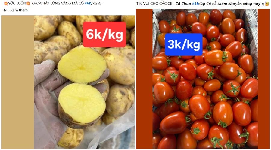 Mua nhiều cà chua, khoai tây mùa giá rẻ: Bảo quản sao cho đúng?