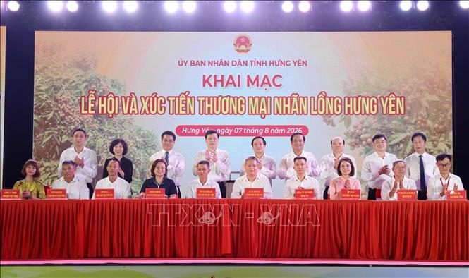 Hưng Yên khai mạc Lễ hội nhãn lồng 2026 tôn vinh đặc sản gắn với di sản văn hóa