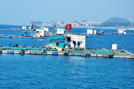Vươn ra đại dương, mở không gian tăng trưởng mới cho kinh tế Việt Nam Vươn ra đại dương, mở không gian tăng trưởng mới cho kinh tế Việt Nam