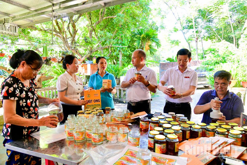 OCOP Ninh Bình từ “đạt sao” đến chinh phục thị trường OCOP Ninh Bình từ “đạt sao” đến chinh phục thị trường