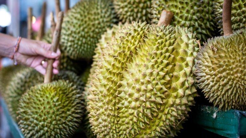 Giá sầu riêng cận Tết tăng mạnh do khan hiếm nguồn cung