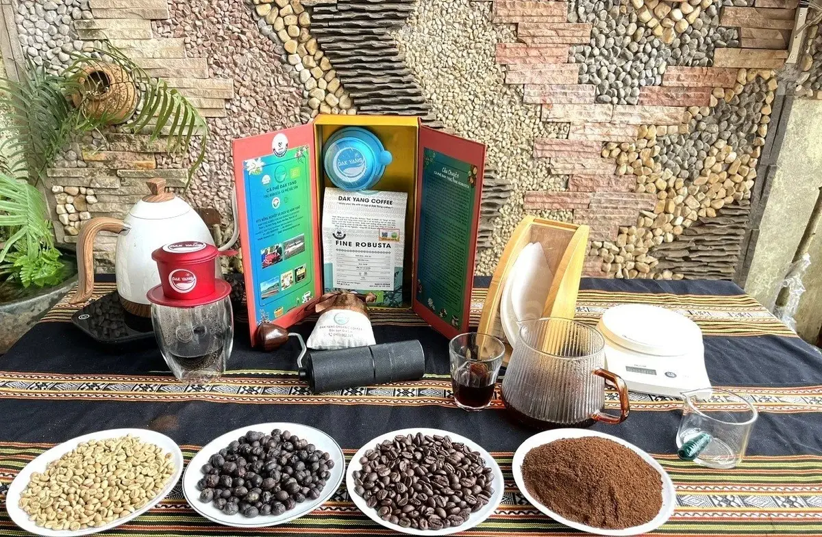 Nông nghiệp Việt trước áp lực toàn cầu: Giải pháp nào vượt sóng?