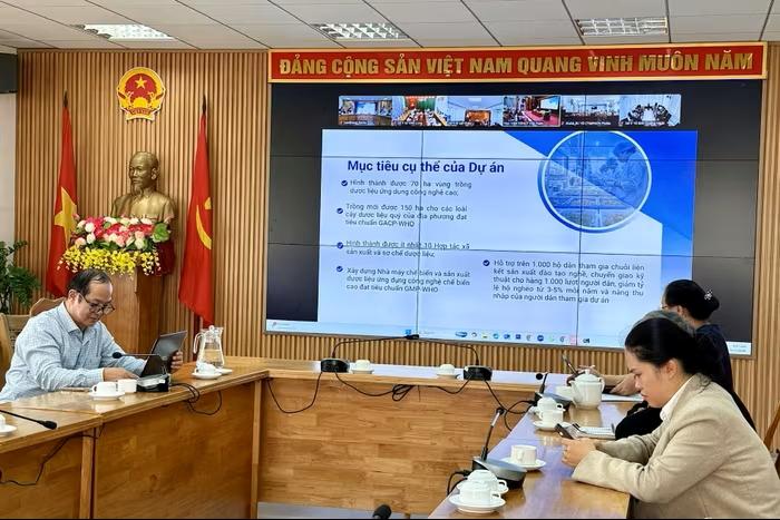 Bộ Y tế định hướng phát triển chuỗi giá trị dược liệu bền vững Bộ Y tế định hướng phát triển chuỗi giá trị dược liệu bền vững