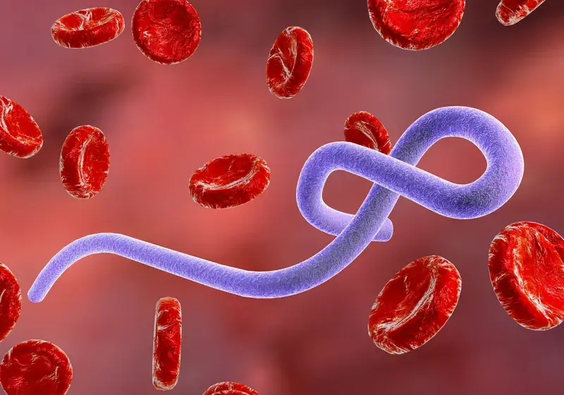 Bộ Y tế ra khuyến cáo khẩn sau khi WHO tuyên bố tình trạng khẩn cấp về dịch Ebola