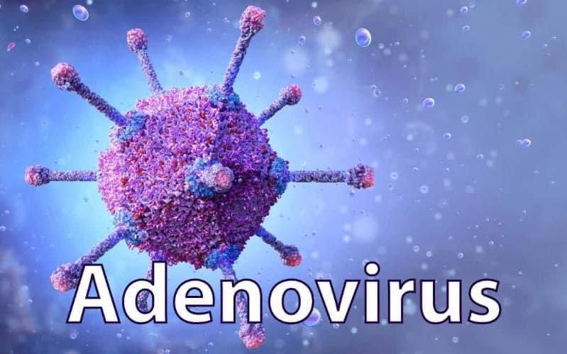 Gia tăng đột biến ca mắc Adenovirus và cảnh báo nguy cơ lây nhiễm từ bể bơi công cộng