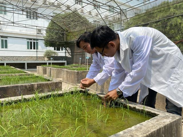 Đưa phòng thí nghiệm ra đồng ruộng: Lời giải cho bài toán cạnh tranh của nông sản Việt Đưa phòng thí nghiệm ra đồng ruộng: Lời giải cho bài toán cạnh tranh của nông sản Việt
