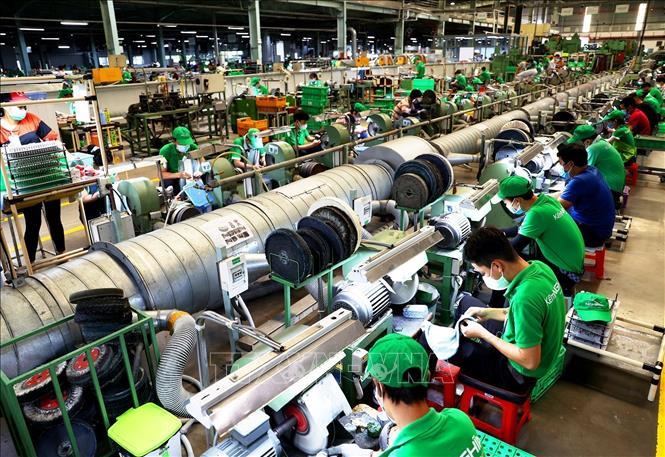 Kinh tế Việt Nam: Sự hồi sinh mạnh mẽ của hệ sinh thái doanh nghiệp