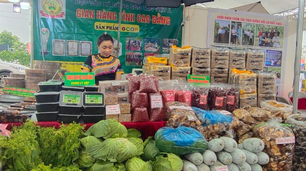 Từ đặc sản địa phương đến thương hiệu OCOP Cao Bằng