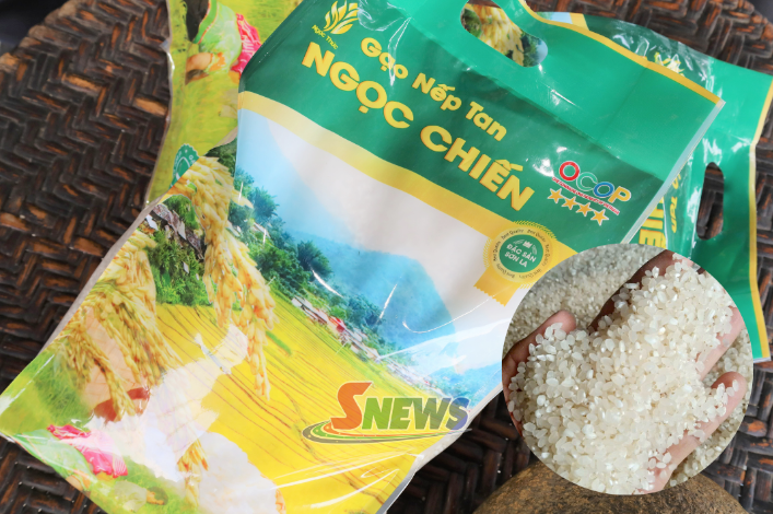 Nếp tan Ngọc Chiến: Từ giống lúa truyền thống vươn lên sản phẩm OCOP 4 sao