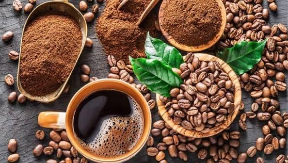 Giá nông sản ngày 8/9: Cà phê neo gần 95.000 đồng/kg, sầu riêng chịu áp lực giảm giá