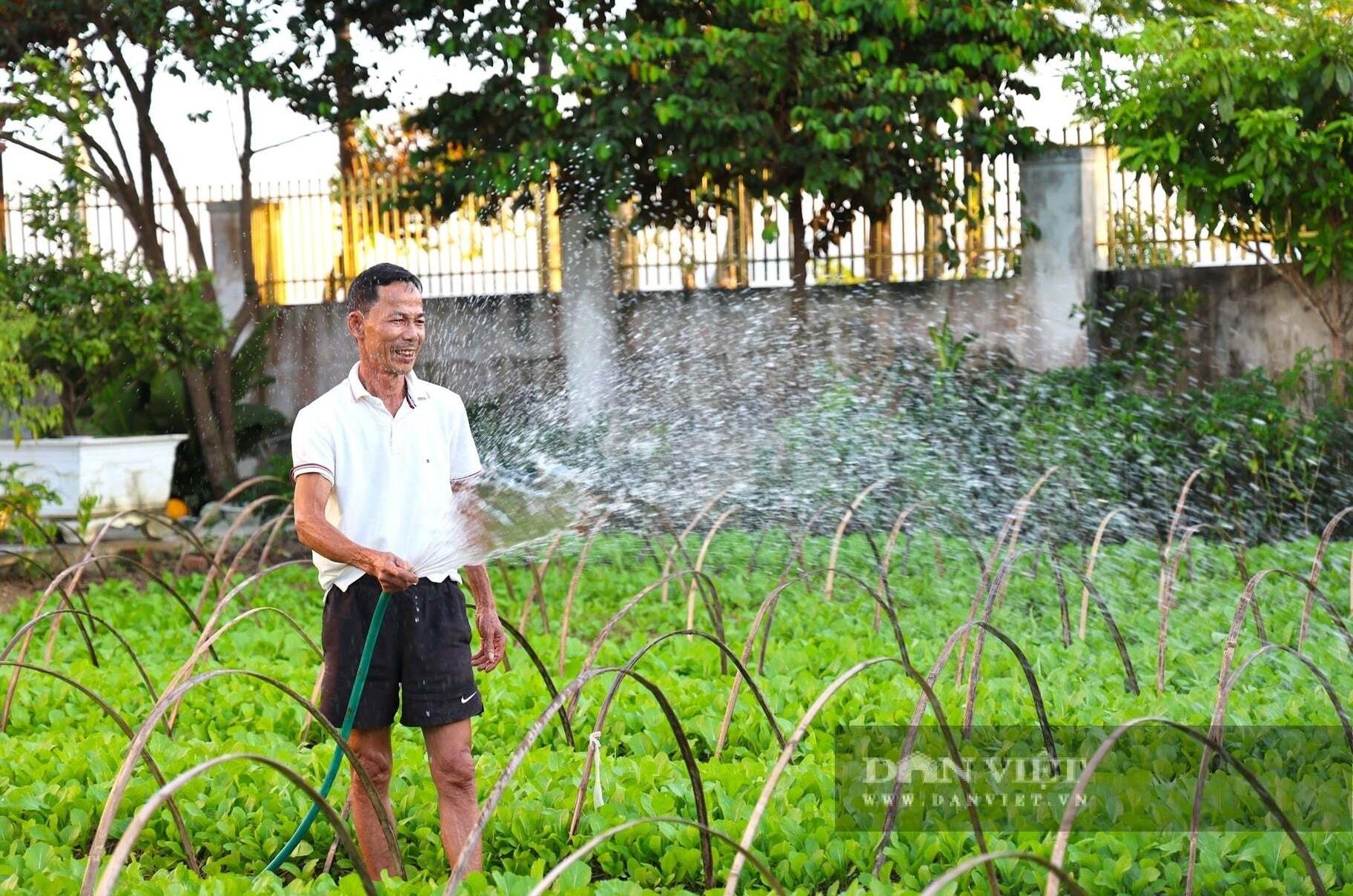 Lão nông Hà Tĩnh quyết định xuống giống sớm để ‘đón đầu’ rau vụ đồng, thu nhập tới 500.000 đồng/ngày Lão nông Hà Tĩnh quyết định xuống giống sớm để ‘đón đầu’ rau vụ đồng, thu nhập tới 500.000 đồng/ngày