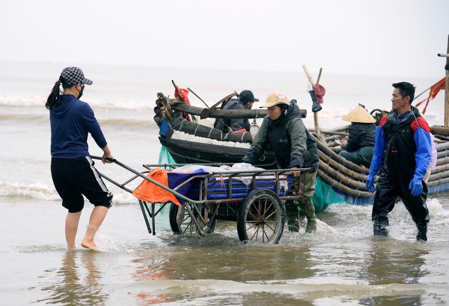 Sứa biển vào mùa, ngư dân kiếm tiền triệu sau vài giờ ra khơi